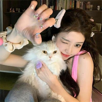 柏德街上的孤岛